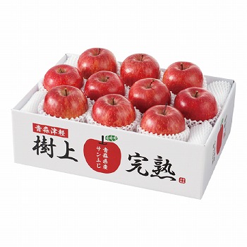 XY㊮nTӂ(H-A4S)y͂ԁF1122`1216z